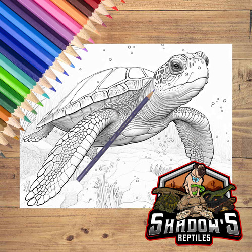 5 Páginas de animales para colorear 2