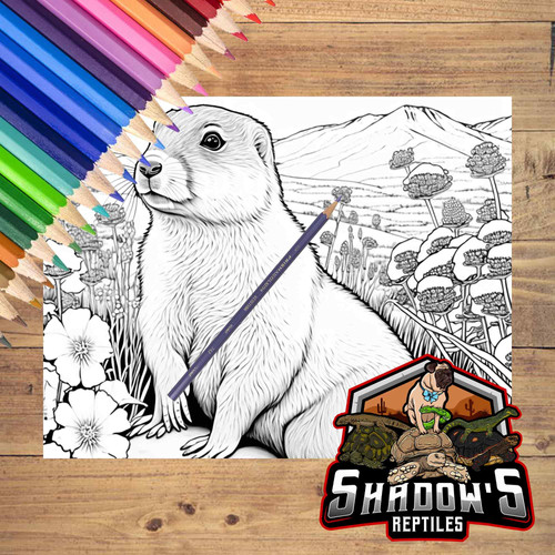 5 Páginas de animales para colorear 4