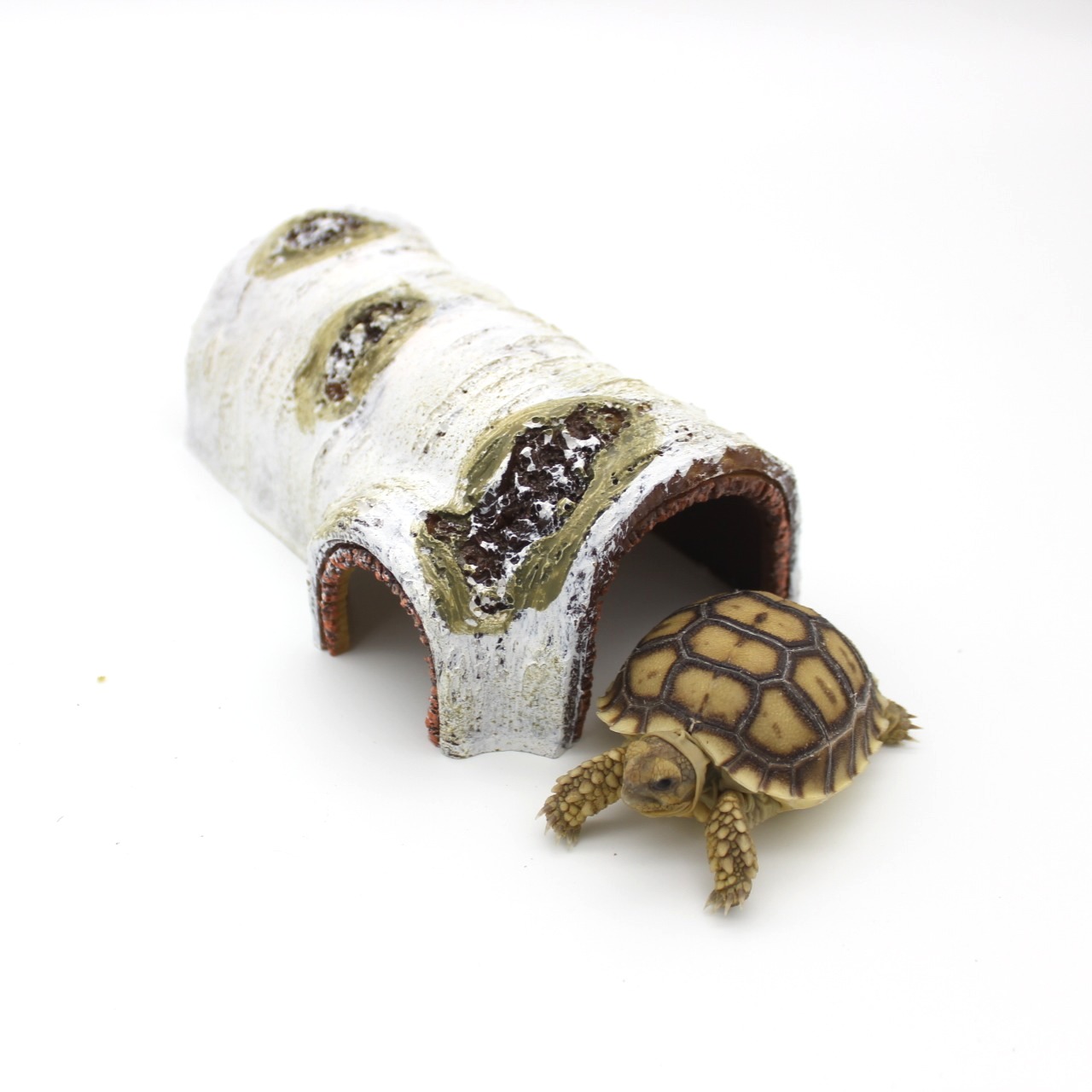 Escondite de tronco de abedul para reptiles