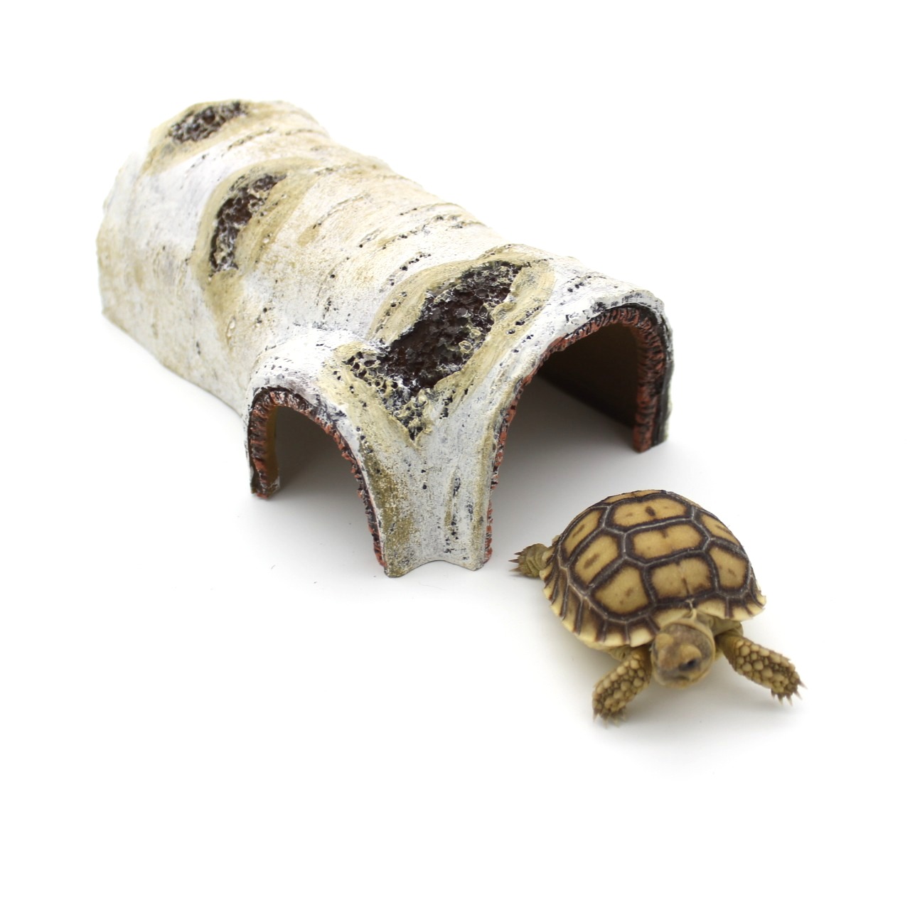 Escondite de tronco de abedul para reptiles 2