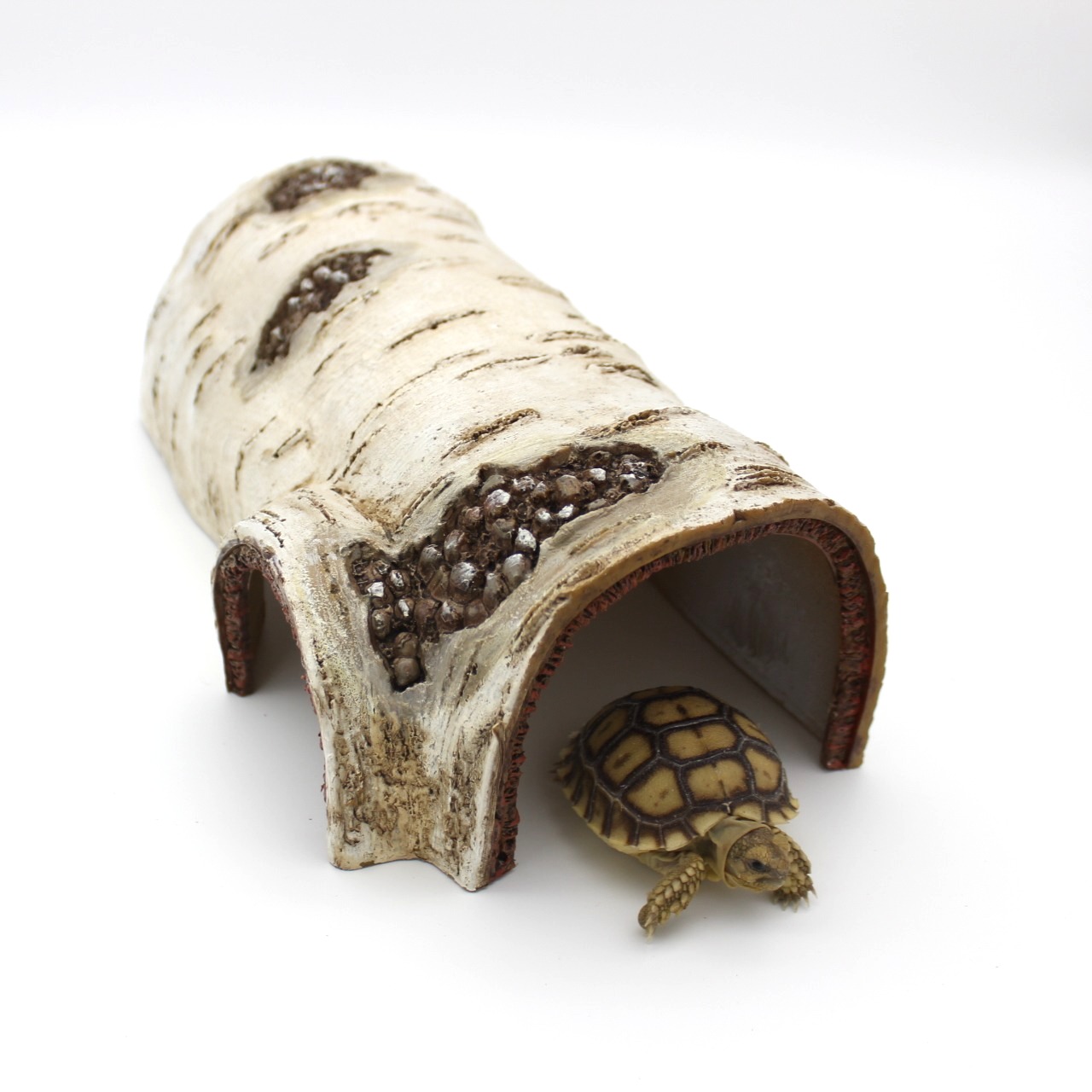 Escondite de tronco de abedul para reptiles 3