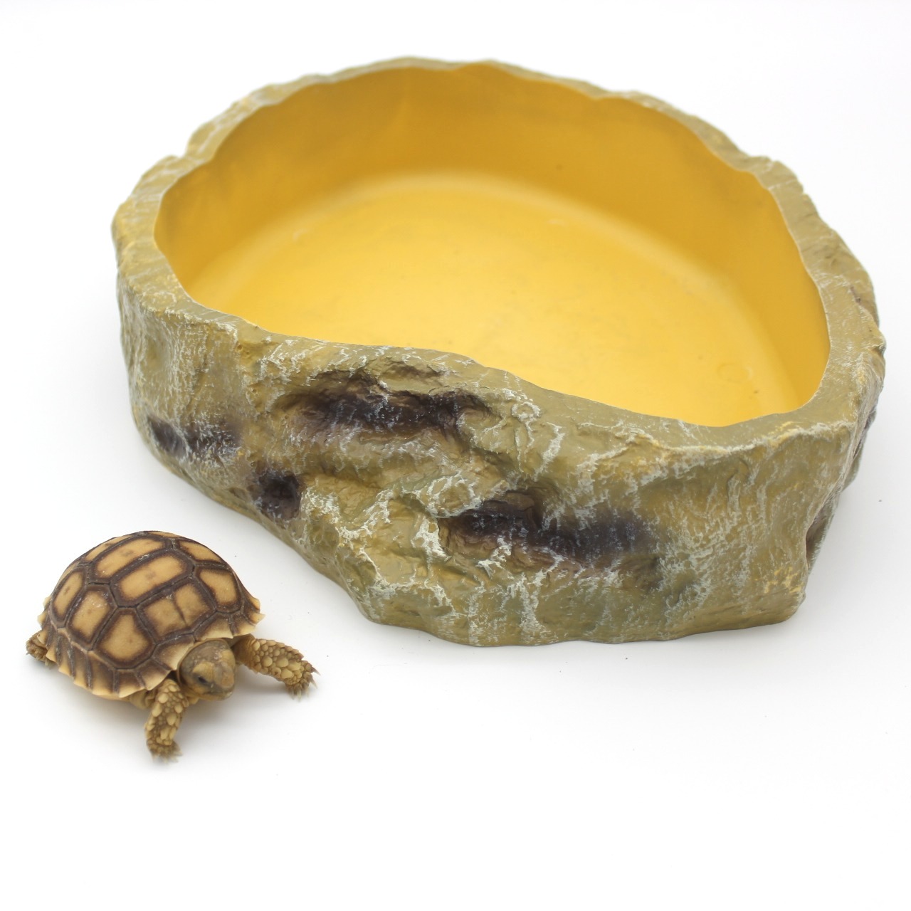 Tazones de agua y comida 4