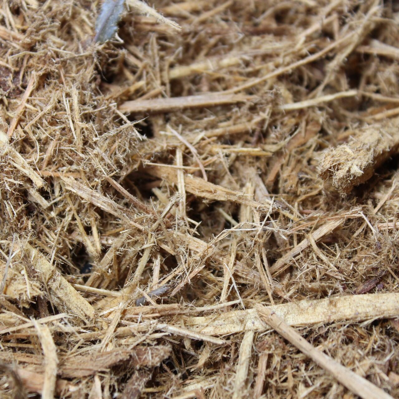 Mantillo de ciprés 100% natural de 5 lb