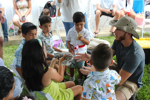 Children gathered around a blue tongue skink during a reptile show