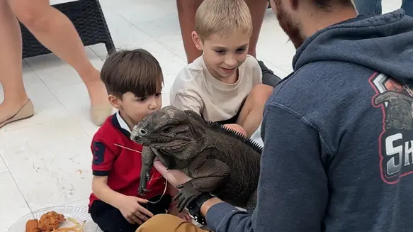 Children meeting a rhino iguana at a party