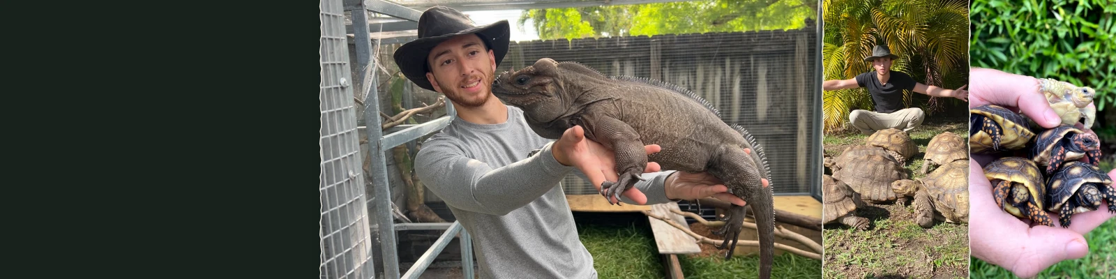 Shadow holding a rhino iguana at the sanctuary