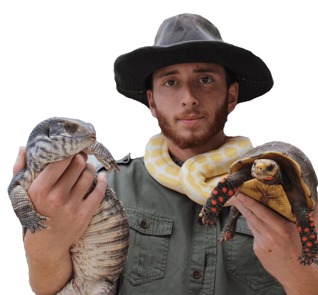Shadow holding exotic reptiles